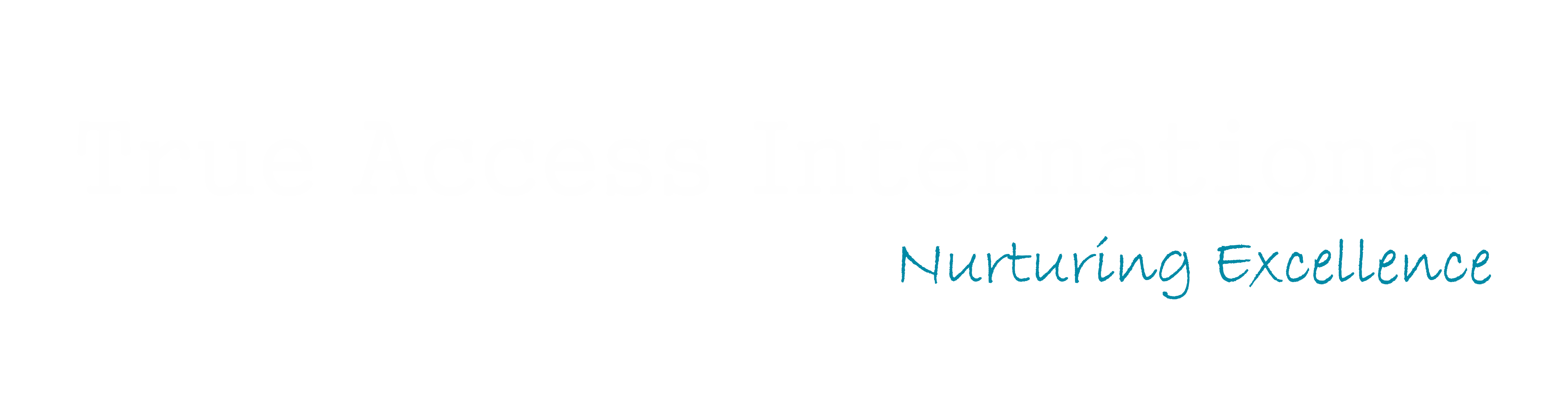 True Access International Hero